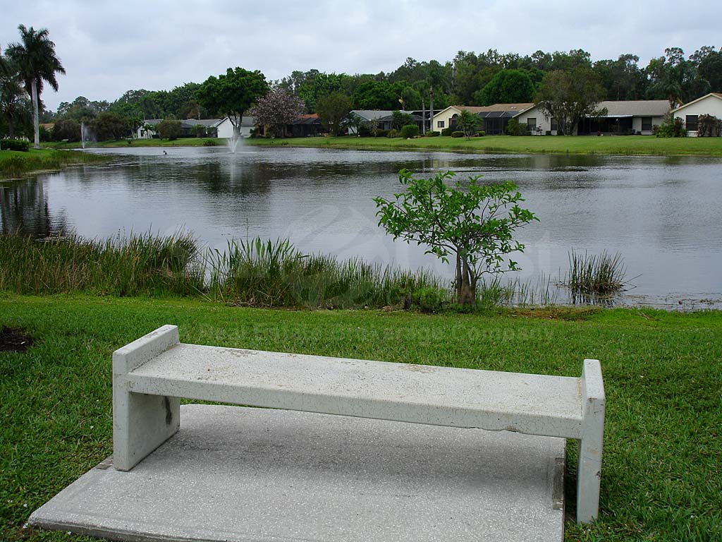Brookshire View of Water